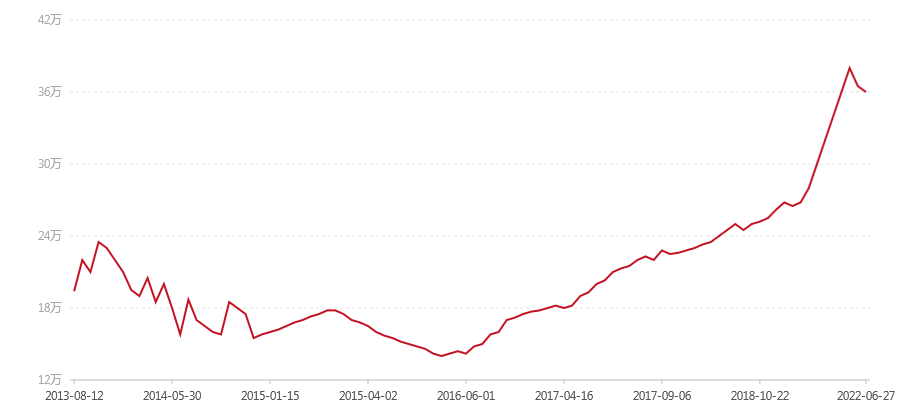 2003年 301 红大益易武正山野生茶特级品357克(图1) canvas.png